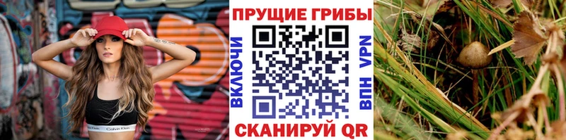 Галлюциногенные грибы MAGIC MUSHROOMS  Баймак 